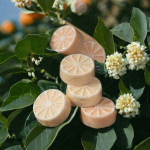 Hand & Body Soap Bar