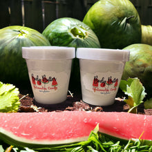 Load image into Gallery viewer, Watermelon Candy Body Collection